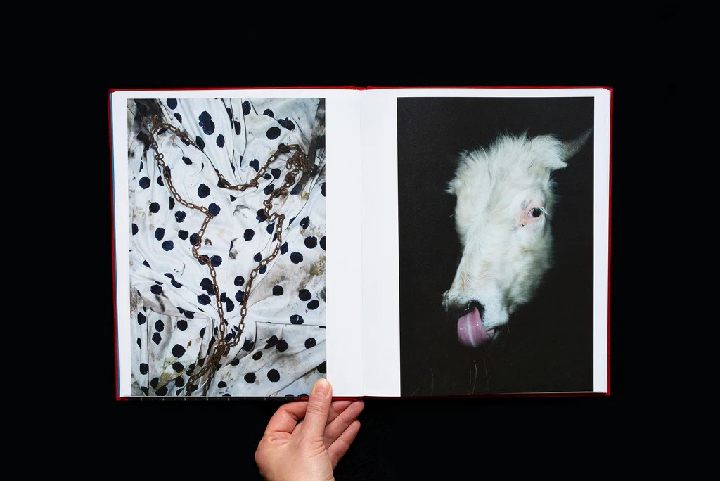 Ela Polkowska: Splinter [signed] - 4