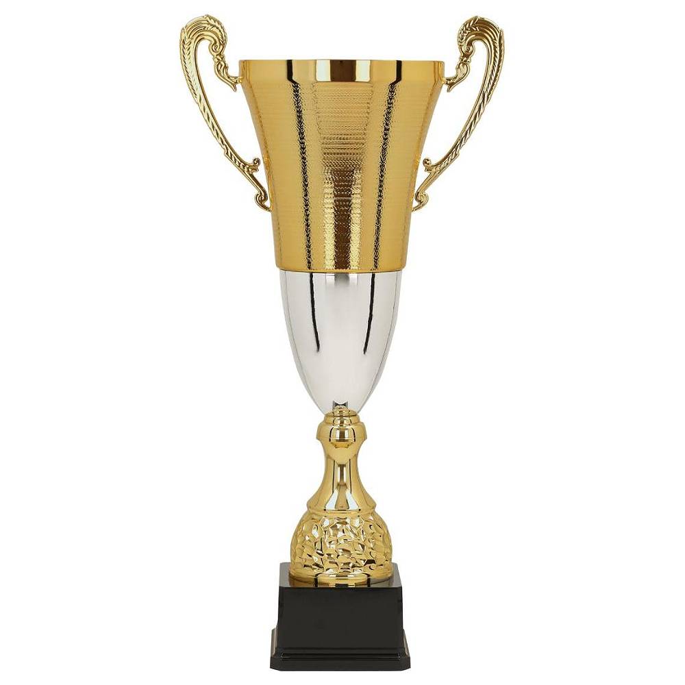 Pokal Dublin