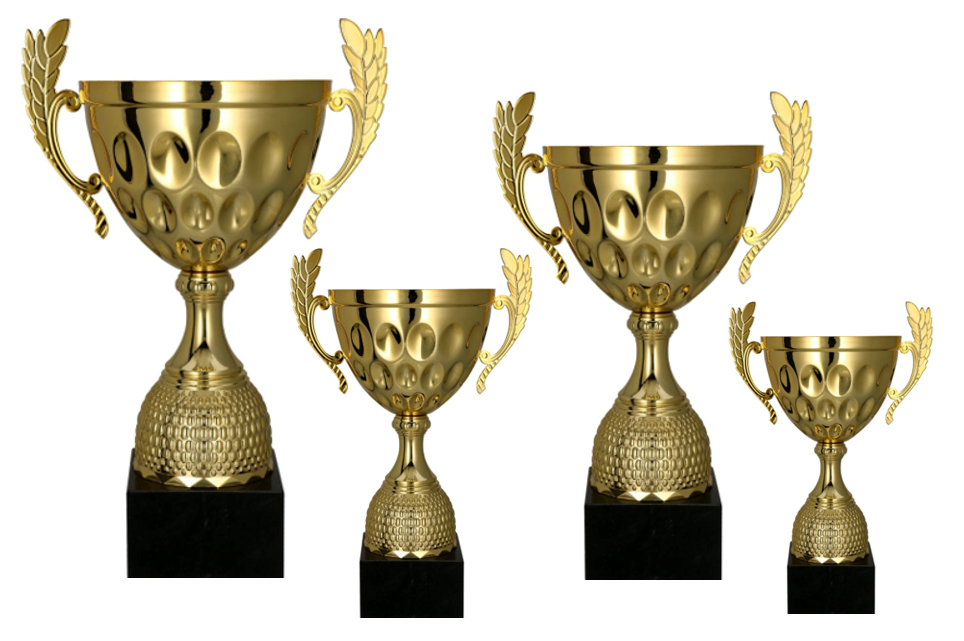 Pokal Belfast