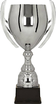 Pokal Wien