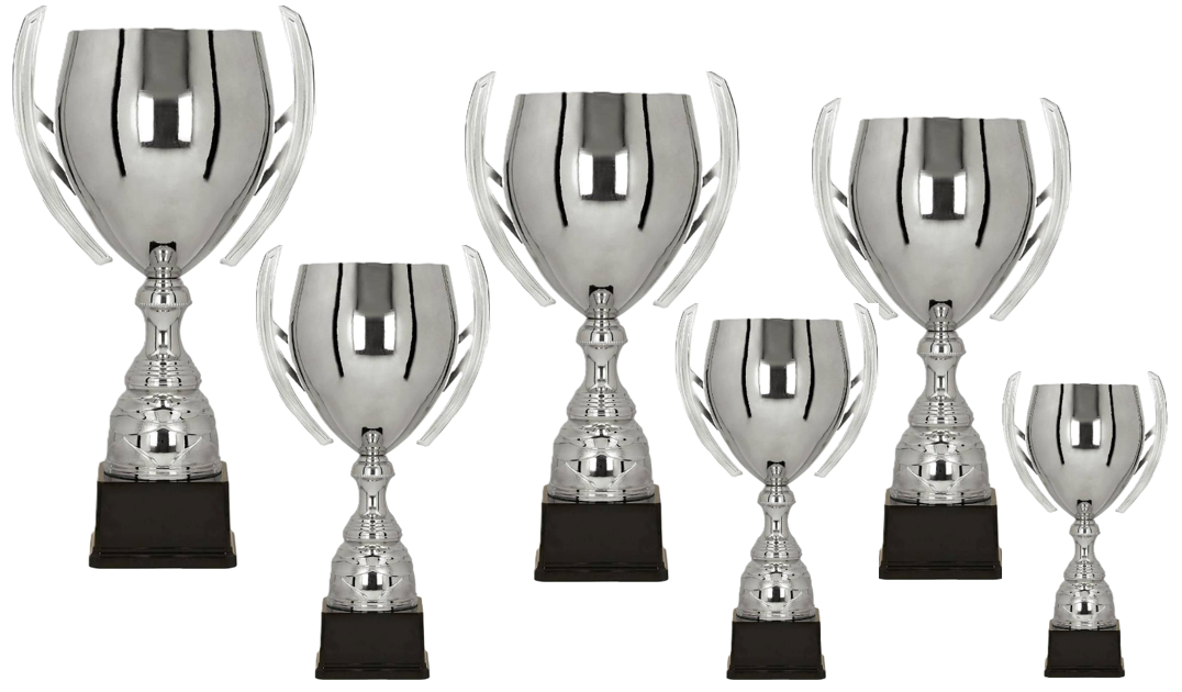 Pokal Wien