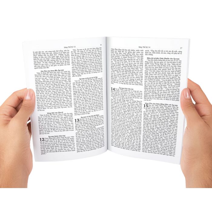 Vietnamesisk Bibel - 2