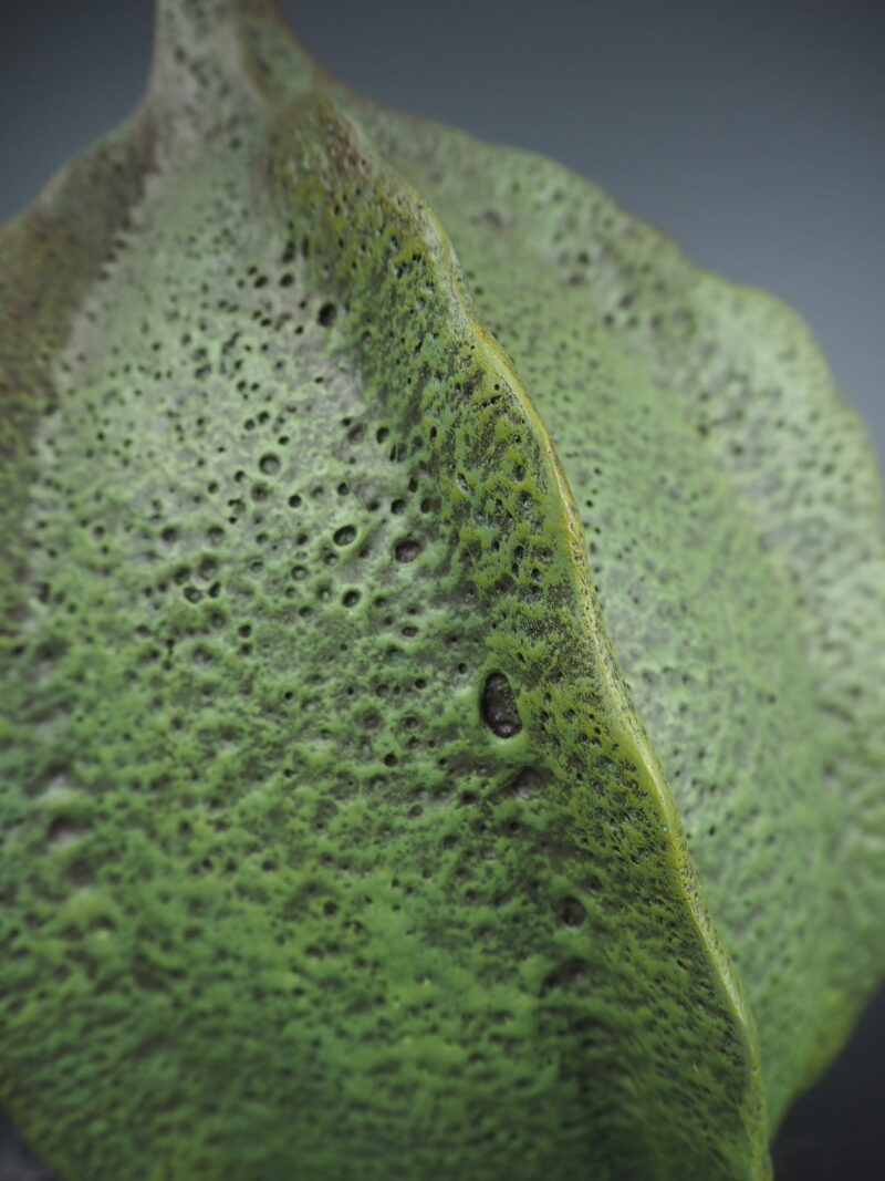 Carambola green - 2