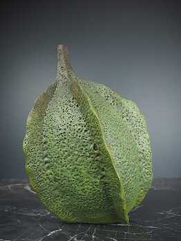 Carambola green