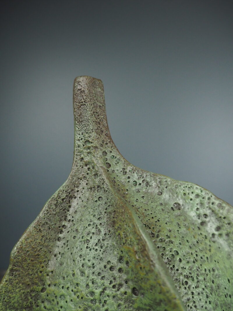 Carambola green - 3
