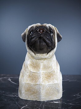Dog vase pug