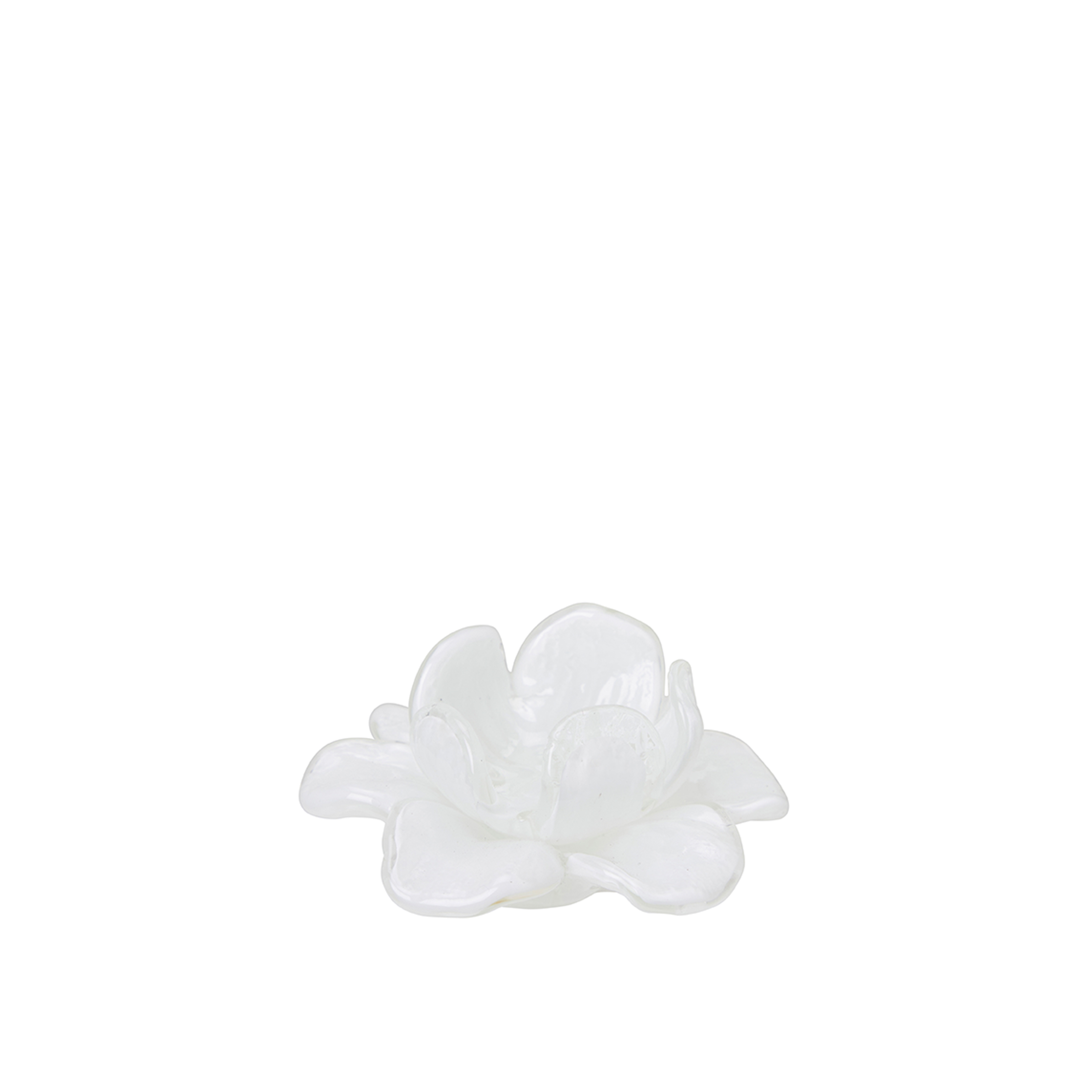 Flora - Flower - Decoration - White - Glass - Ø11 x 5 cm - 3