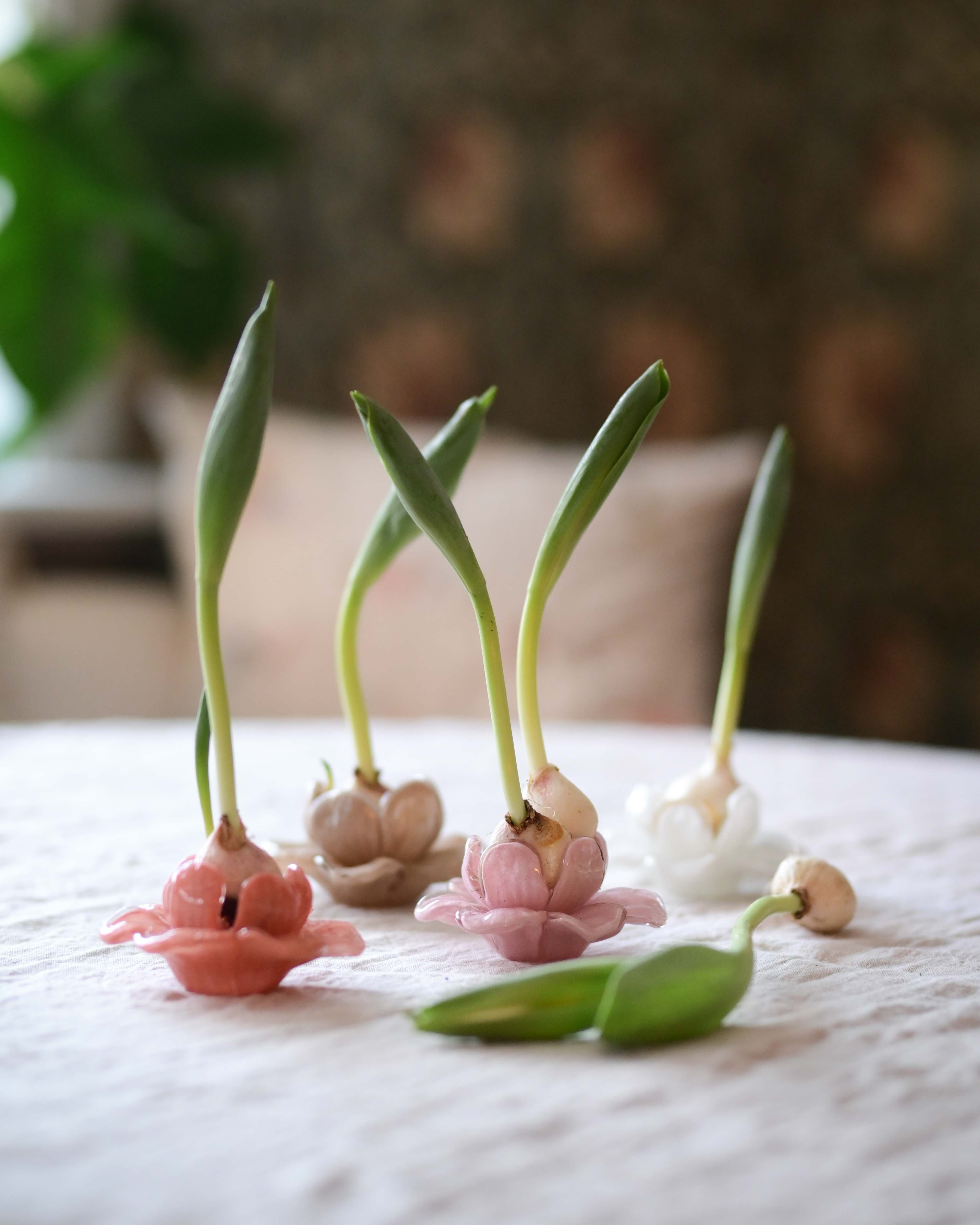 Flora - Flower - Decoration - Pink - Glass - Ø11 x 5 cm - 5