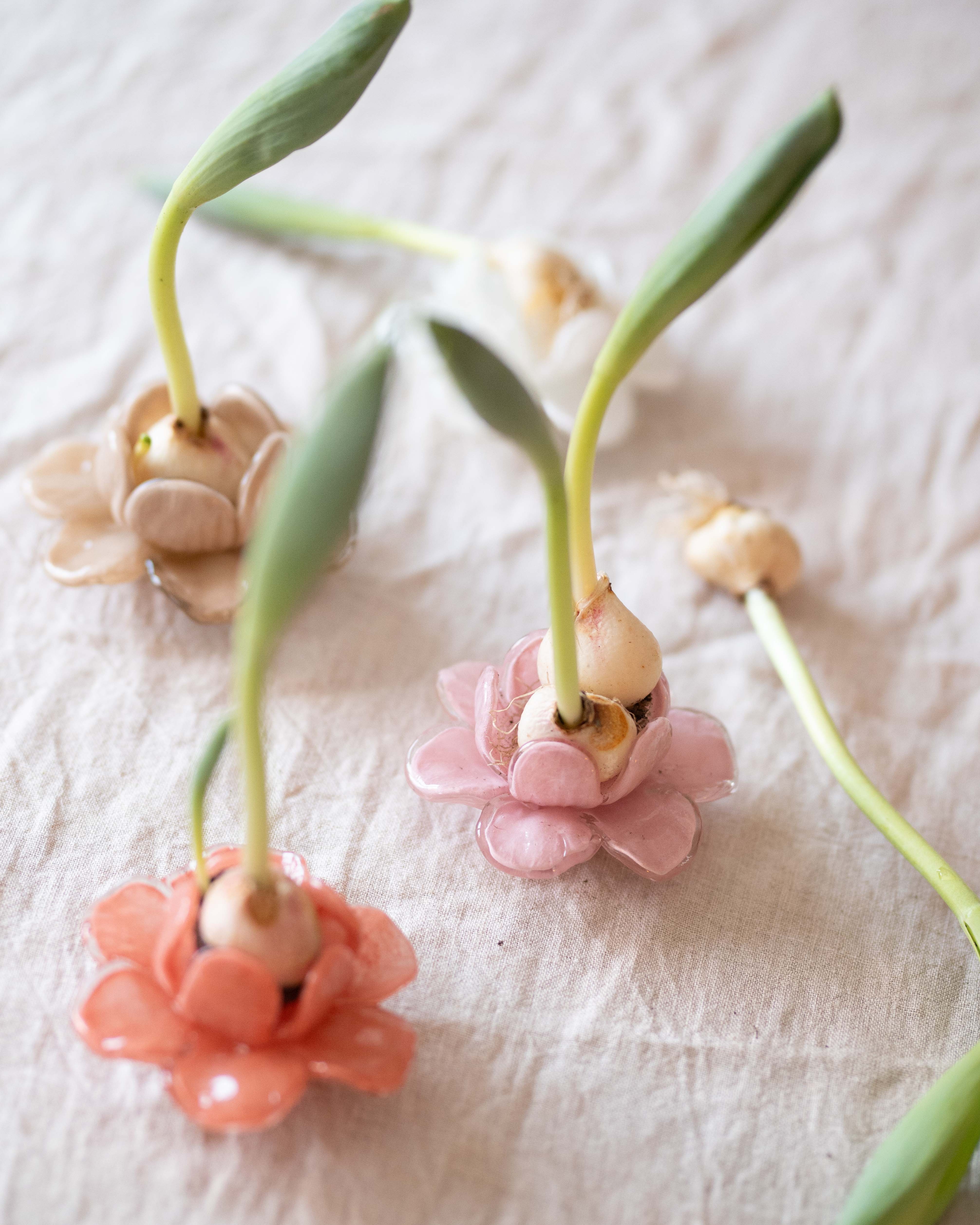 Flora - Flower - Decoration - Pink - Glass - Ø11 x 5 cm - 3