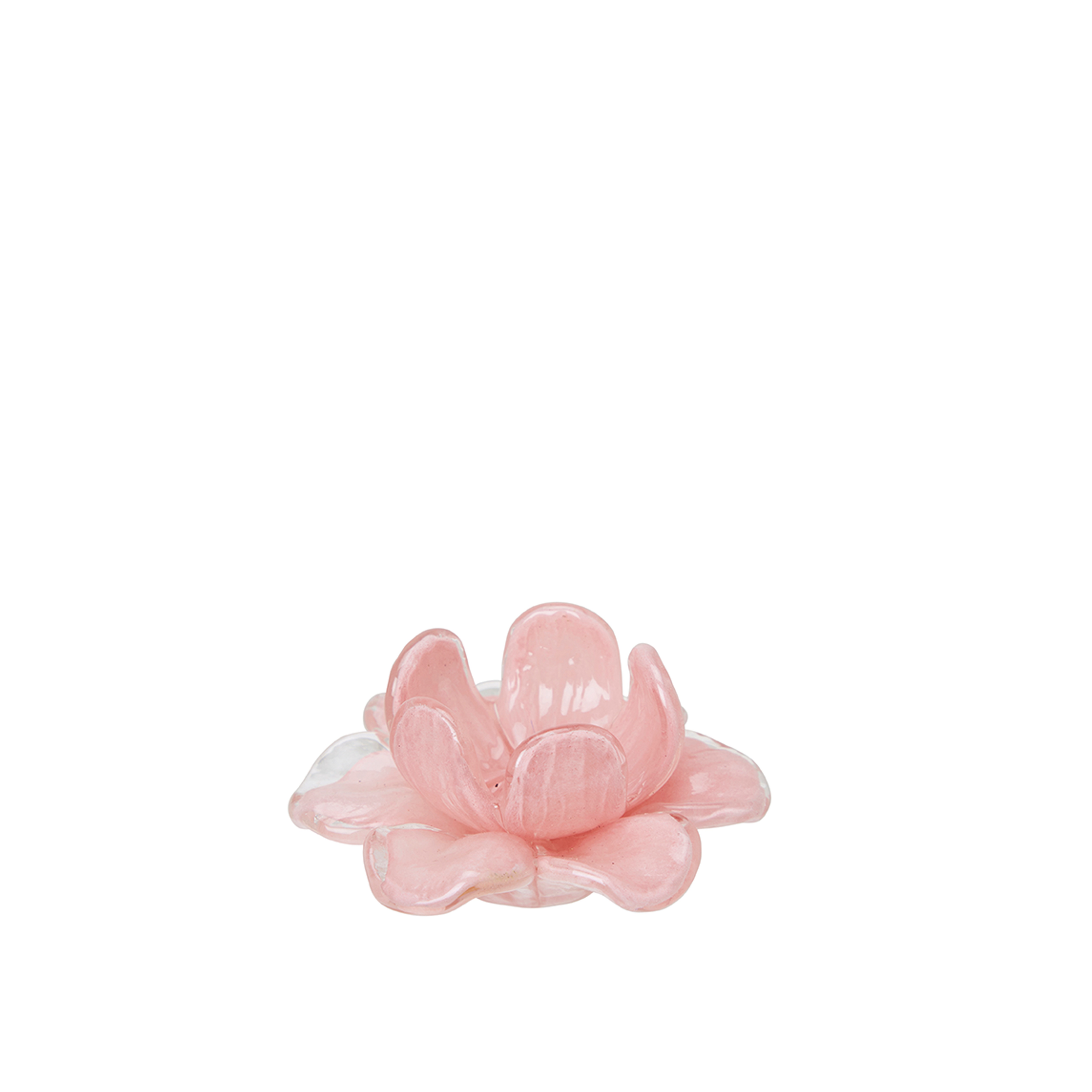 Flora - Flower - Decoration - Pink - Glass - Ø11 x 5 cm - 6