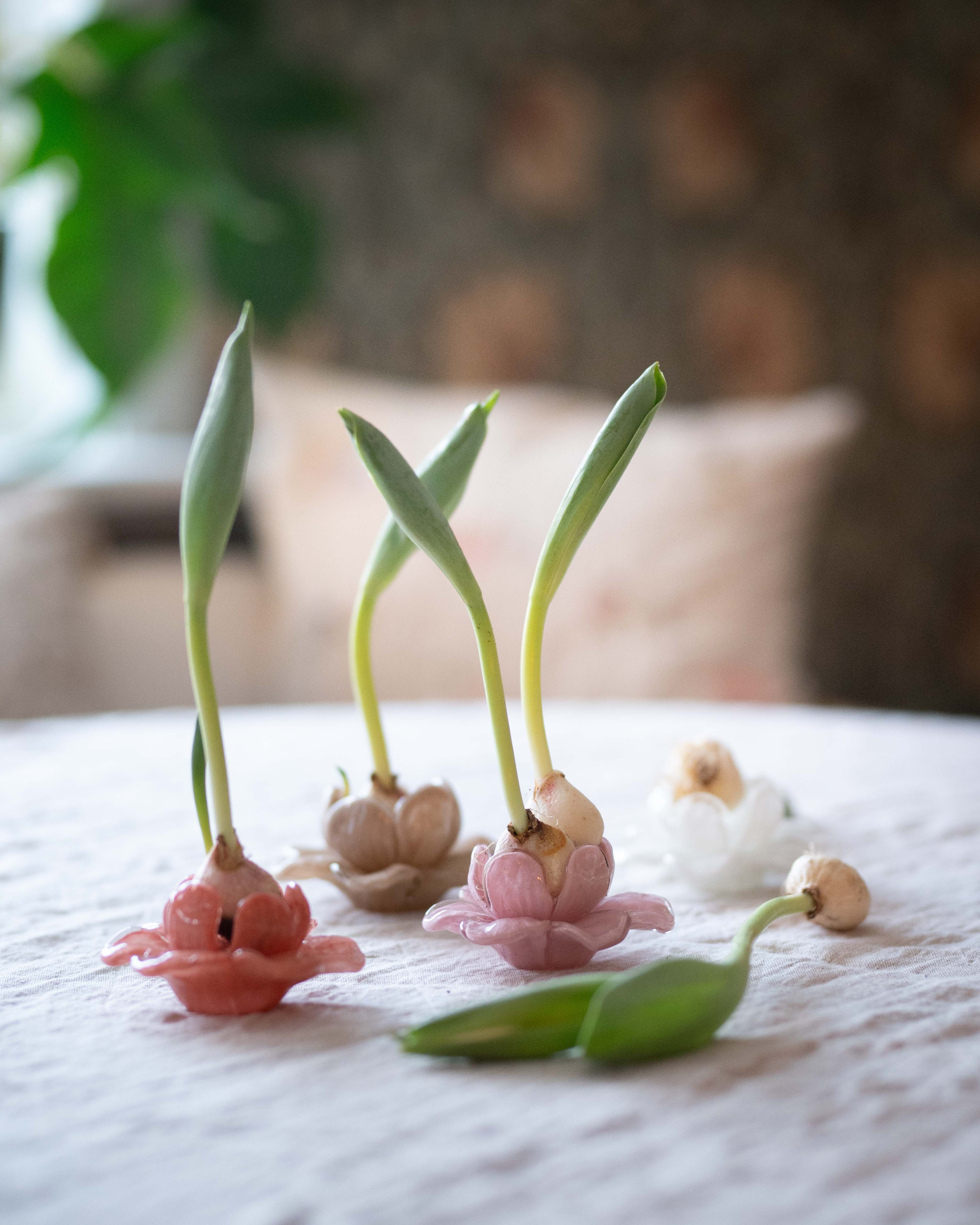 Flora - Flower - Decoration - Beige - Glass - Ø11 x 5 cm - 7