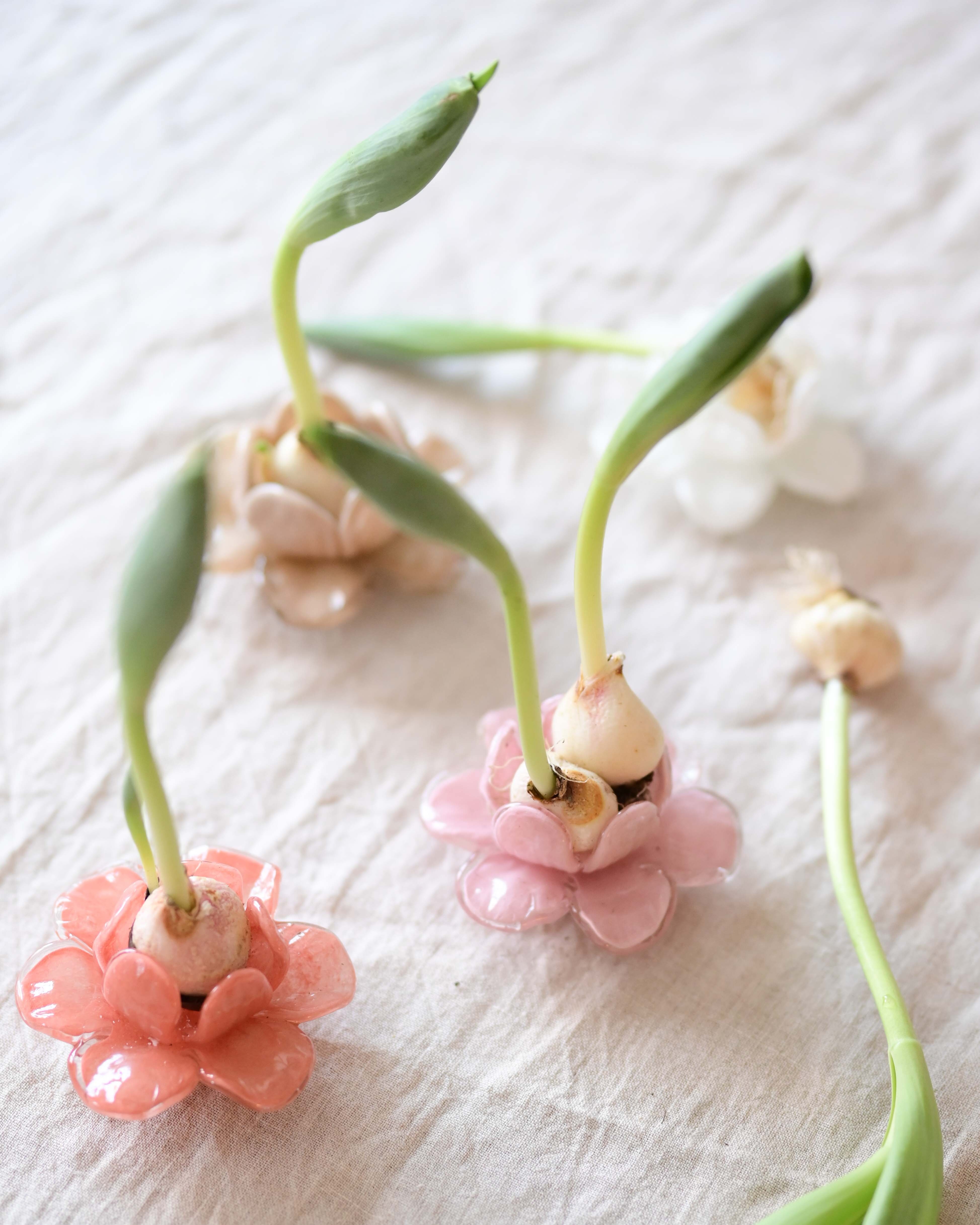 Flora - Flower - Decoration - Beige - Glass - Ø11 x 5 cm - 8