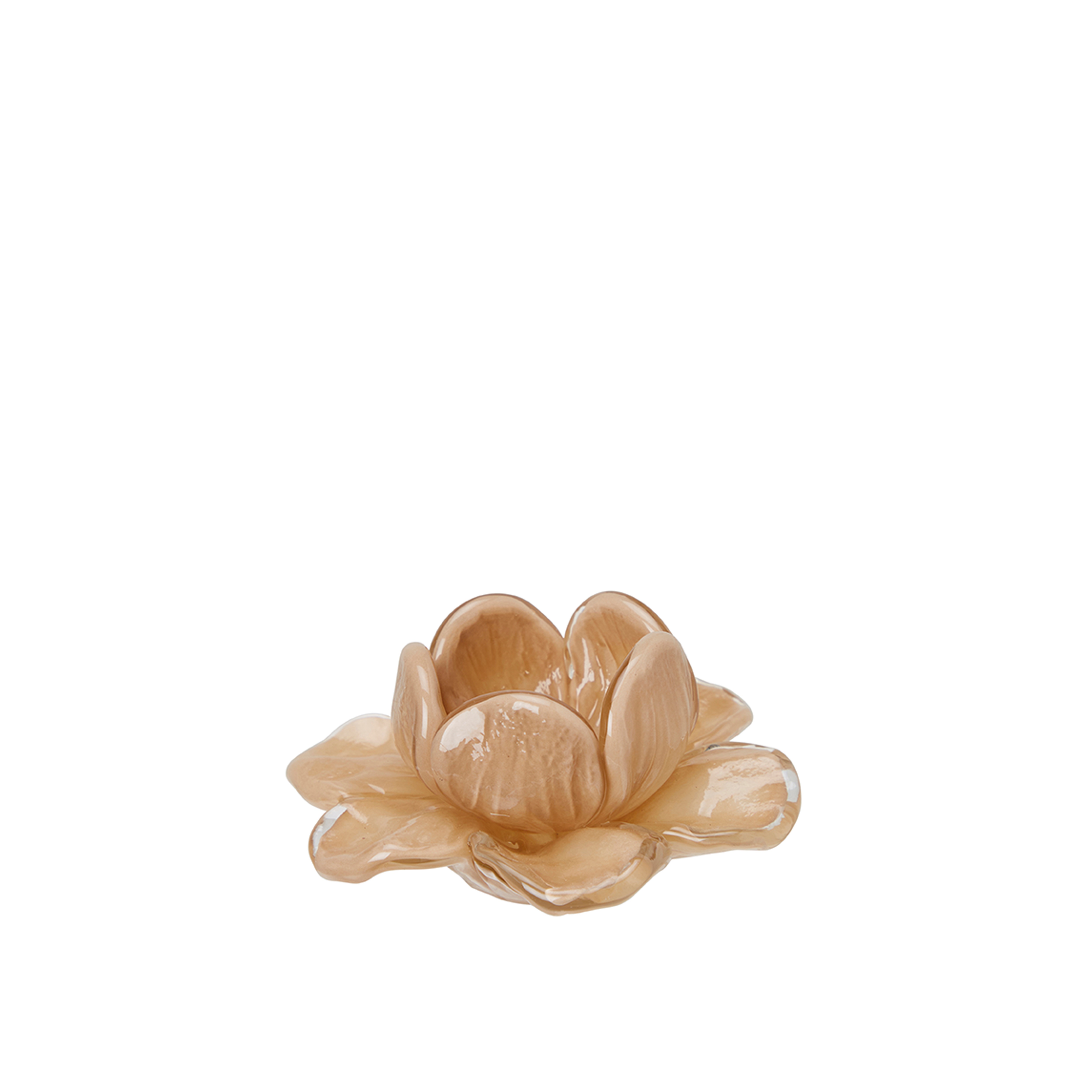 Flora - Flower - Decoration - Beige - Glass - Ø11 x 5 cm - 6