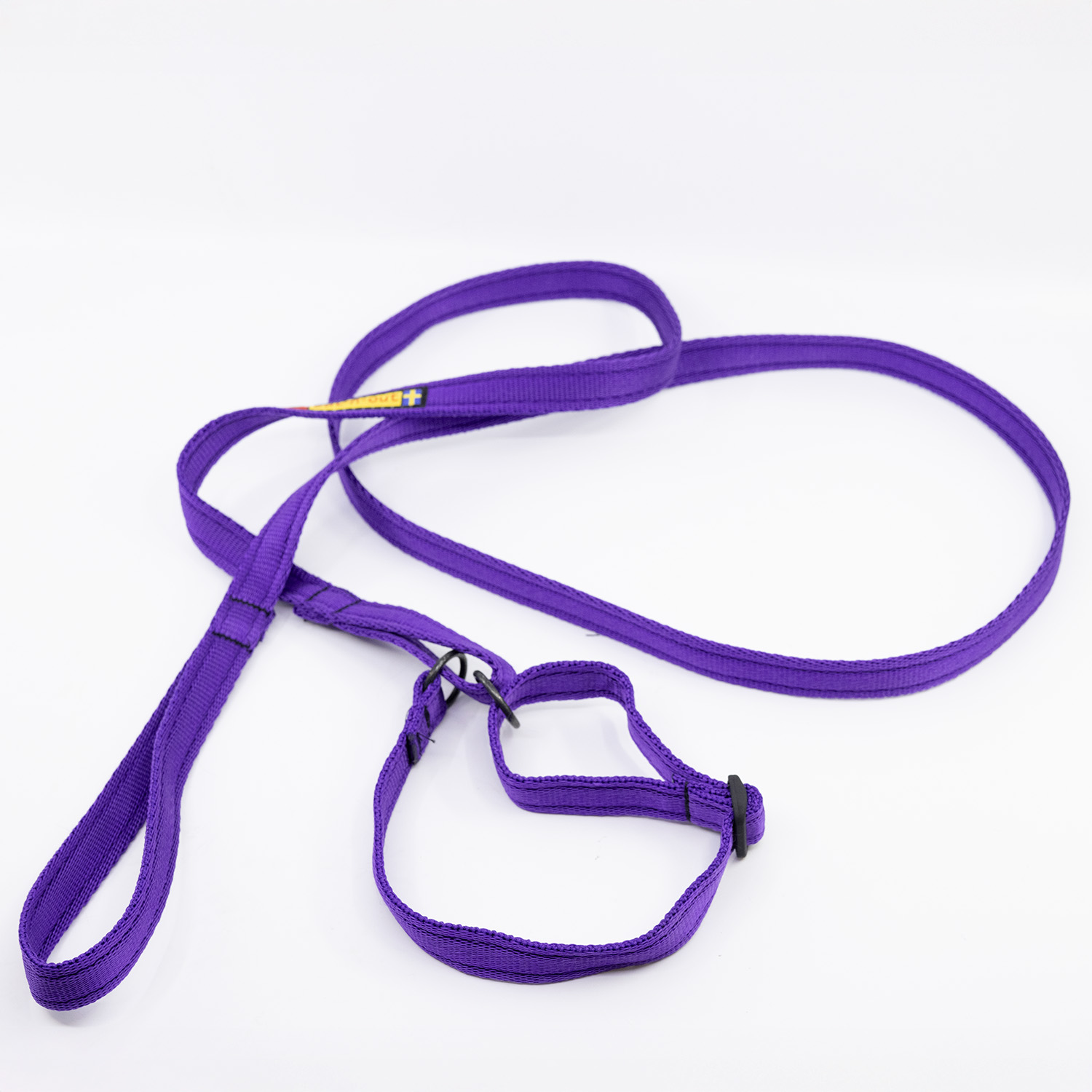 Adjustable all-in-one leash Purple