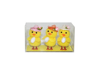 Kycklingar damer 3-pack