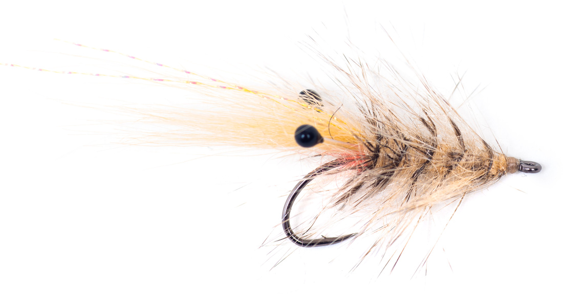Guideline Hackle Shrimp #6