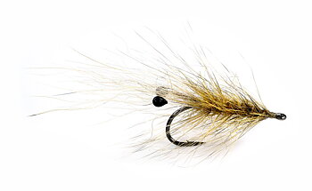 Guideline Coyote Grisen #6