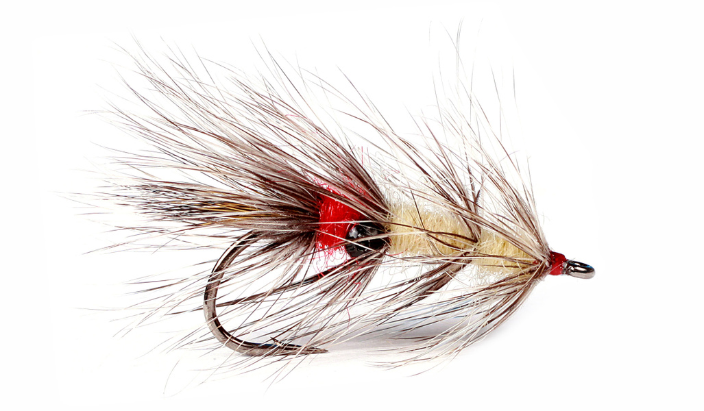 Guideline Vaskebjørn #6