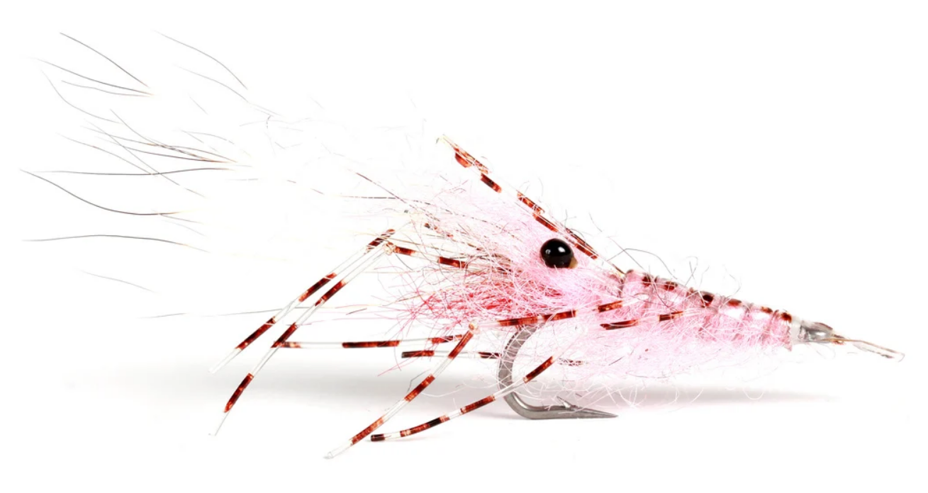 Guideline Leo Shrimp Pink #6