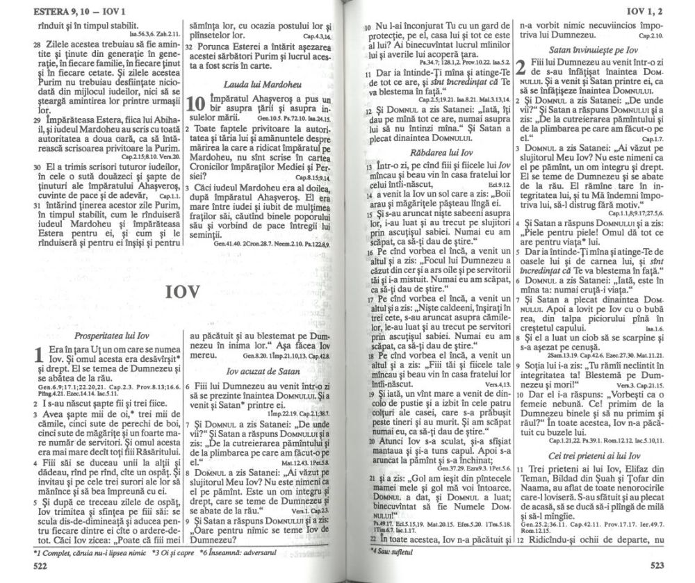 Rumänsk Bibel Hårdpärm Svart - 2