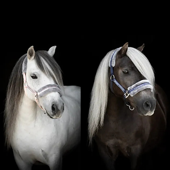 HORSE UNIQUE SHETTLANDS GRIMMA 