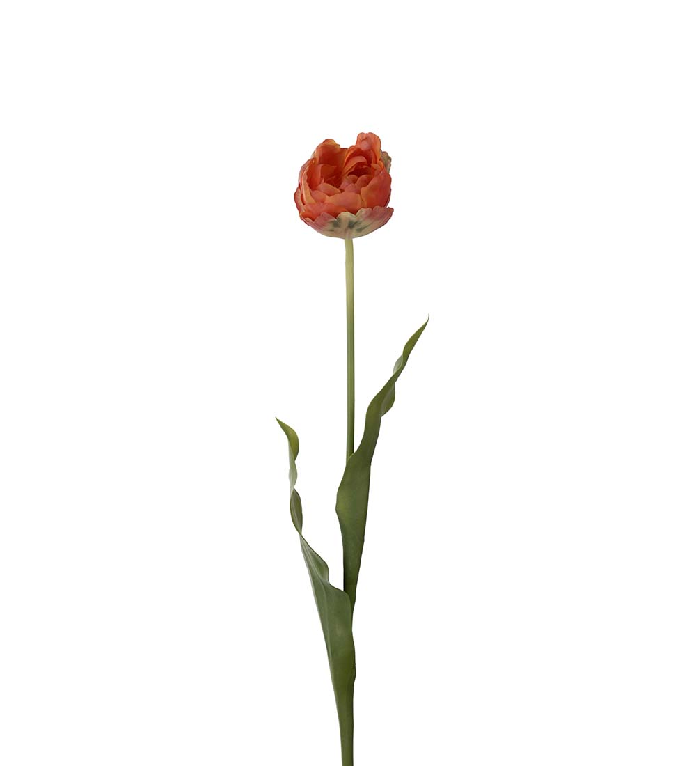 Tulpan - Orange - 67 cm  - 2
