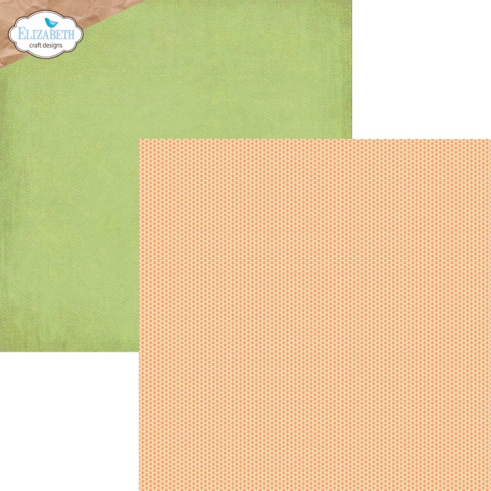 Elizabeth  -  Printed Cardstock -12x12 - Colorful Collective - 5