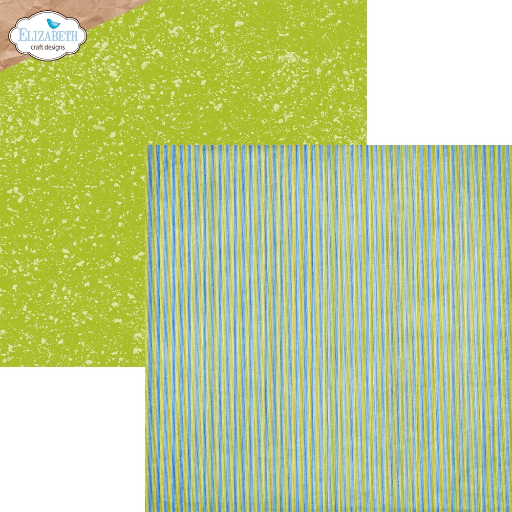 Elizabeth  -  Printed Cardstock -12x12 - Colorful Collective - 4