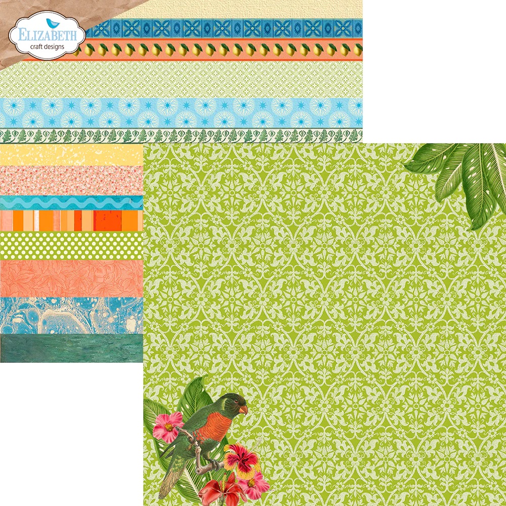 Elizabeth  -  Printed Cardstock -12x12 - Colorful Collective - 12