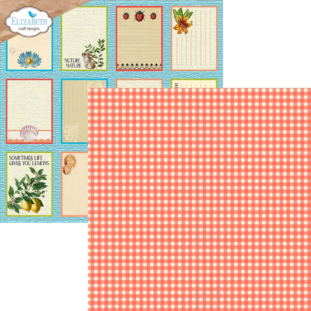 Elizabeth  -  Printed Cardstock -12x12 - Colorful Collective - 13