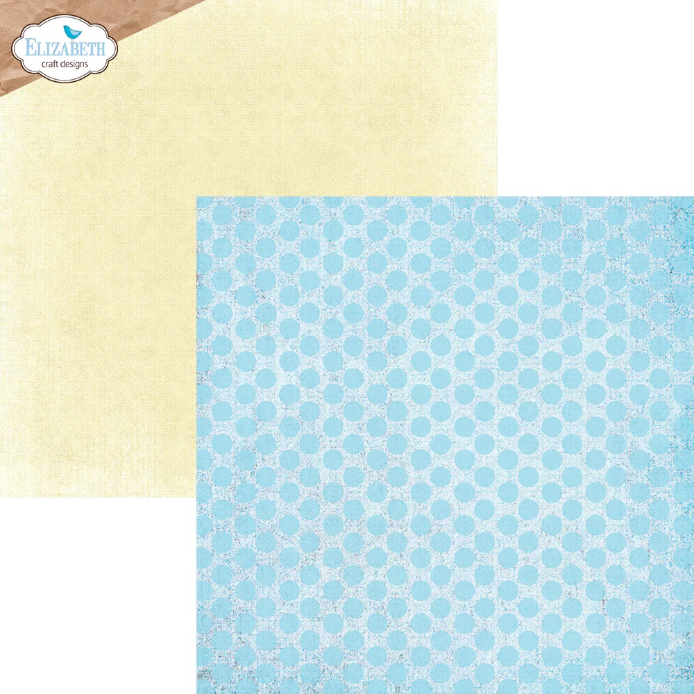 Elizabeth  -  Printed Cardstock -12x12 - Colorful Collective - 9