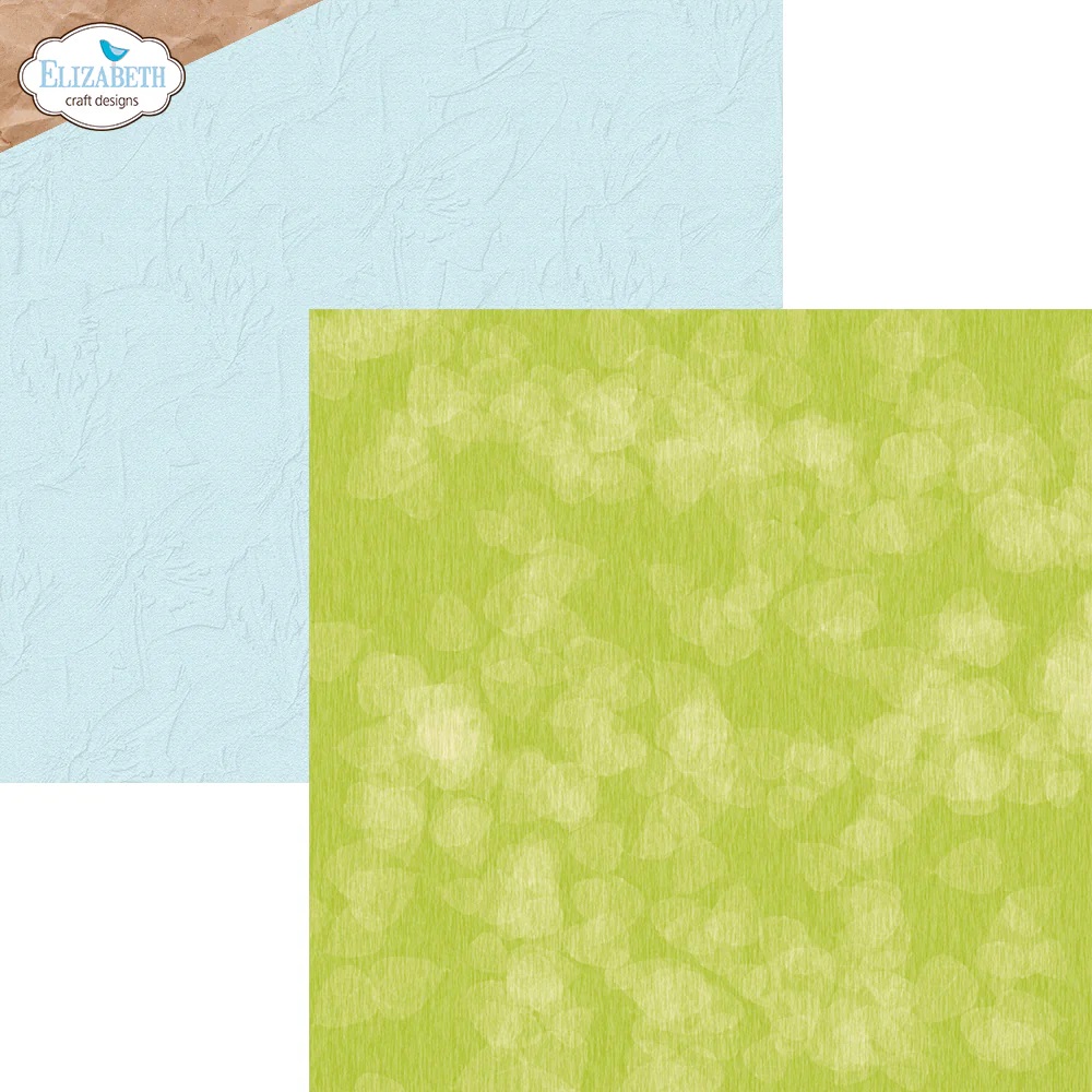 Elizabeth  -  Printed Cardstock -12x12 - Colorful Collective - 7