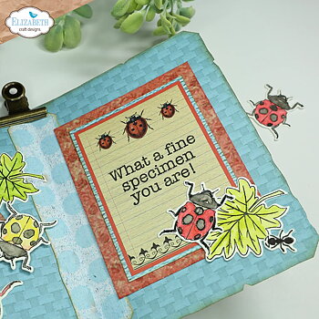 Elizabeth - Clear stamps - Playful Sentiments