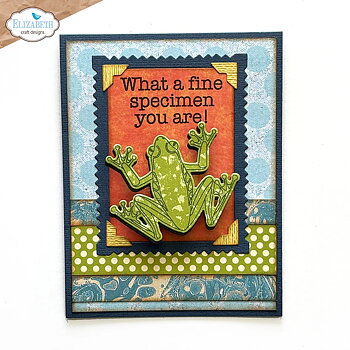 Elizabeth - Beetles and Bugs  - Stamp and Die Set