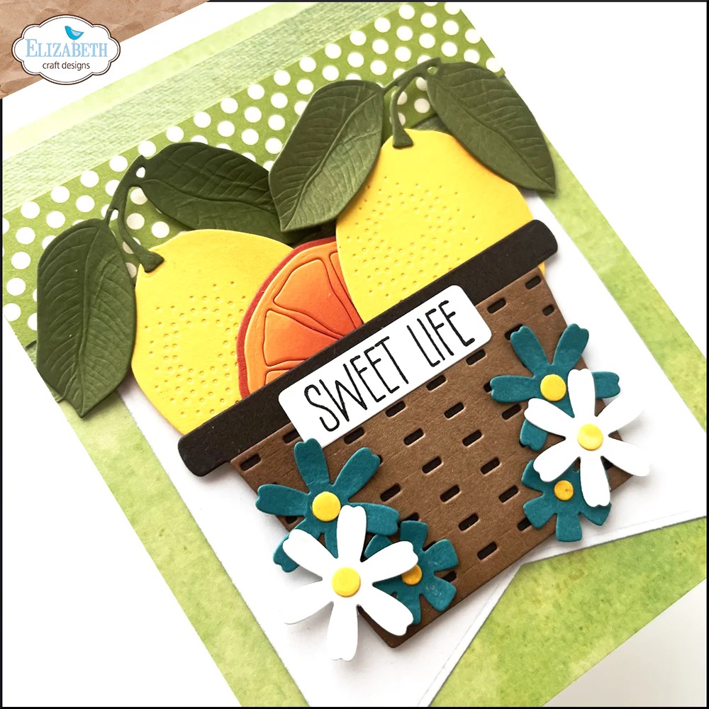 Elizabeth - Dies - Fresh Fruit - 5