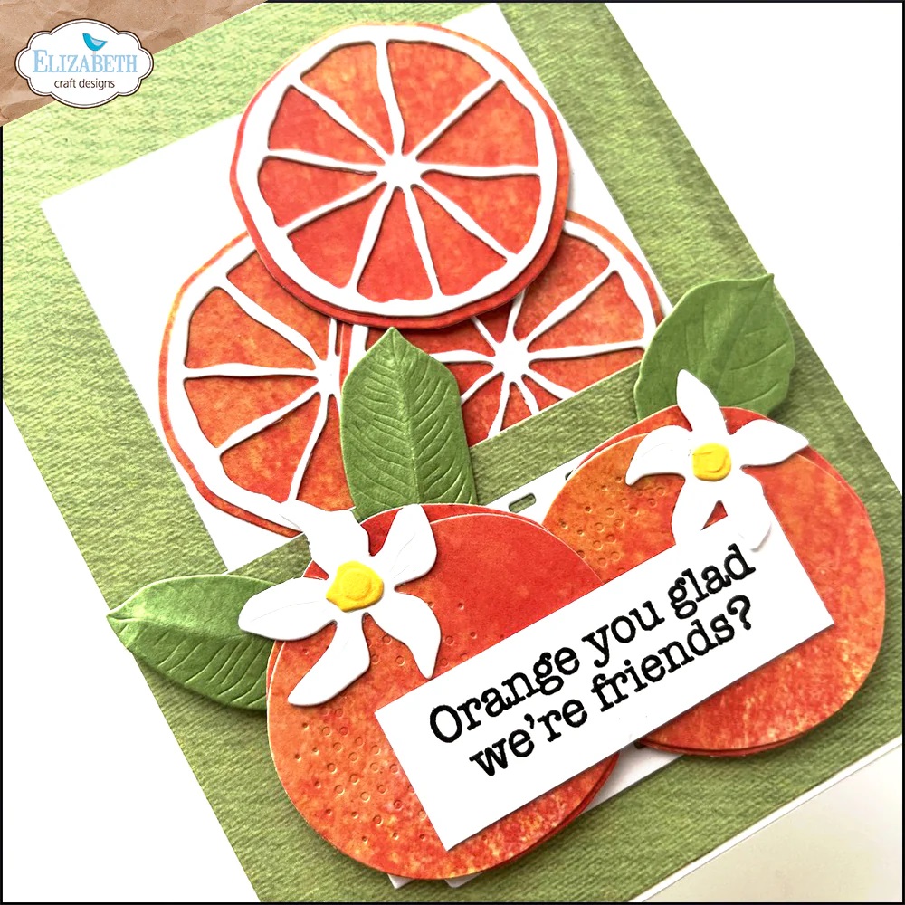 Elizabeth - Dies - Fresh Fruit - 3