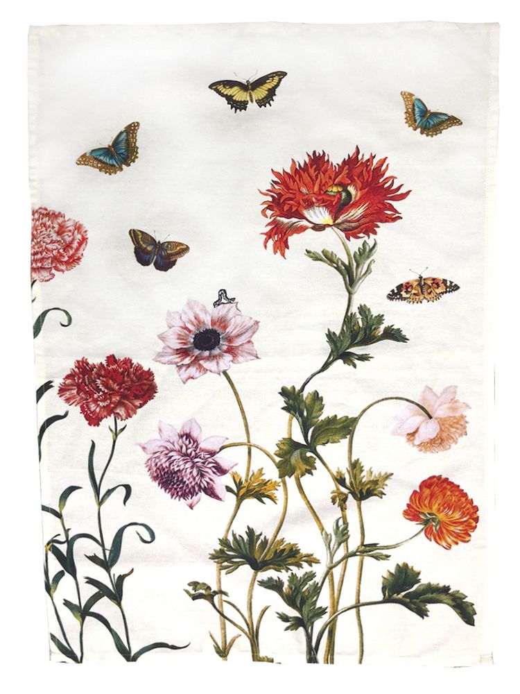 Diskhandduk,  Maria Sibylla Merian - 2