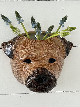 Väggvas Border terrier