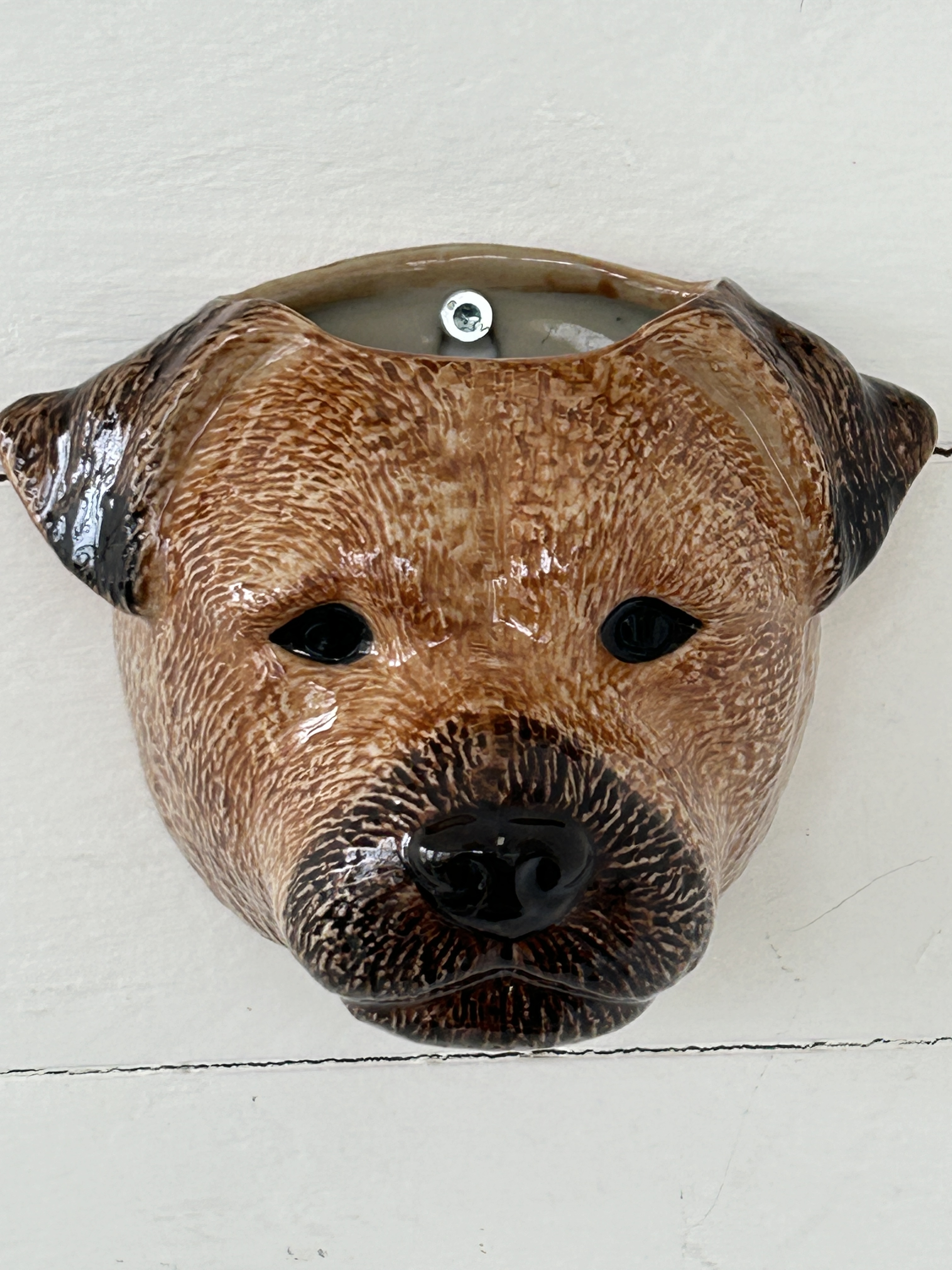 Väggvas Border terrier - 2