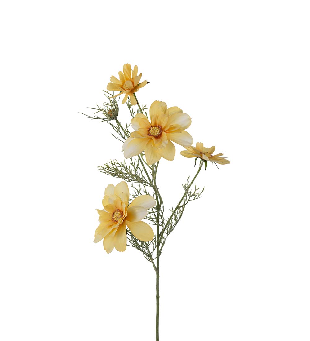 Rosenskära - 65 cm - Cremegul