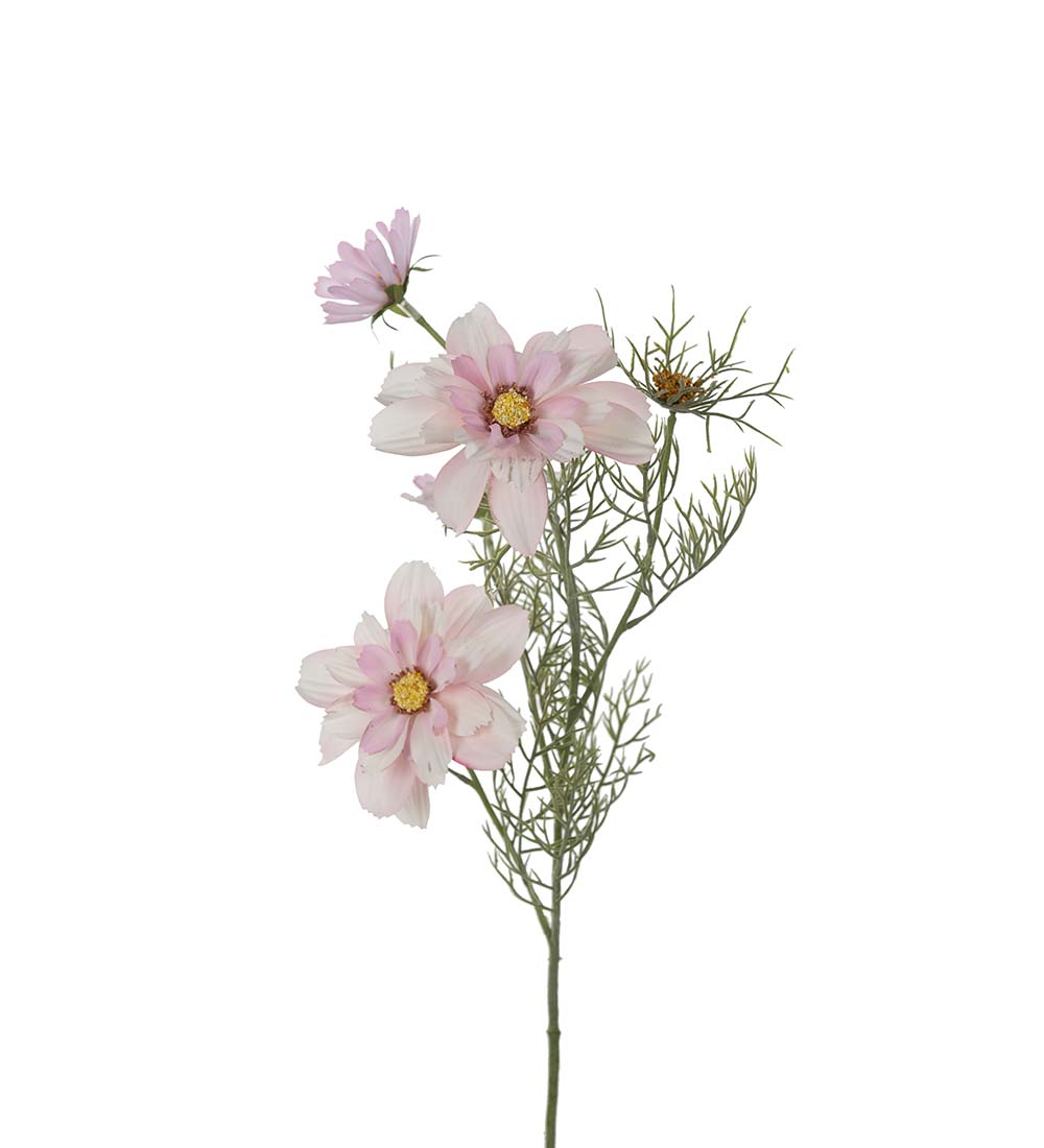 Rose cut - 65 cm - Pink