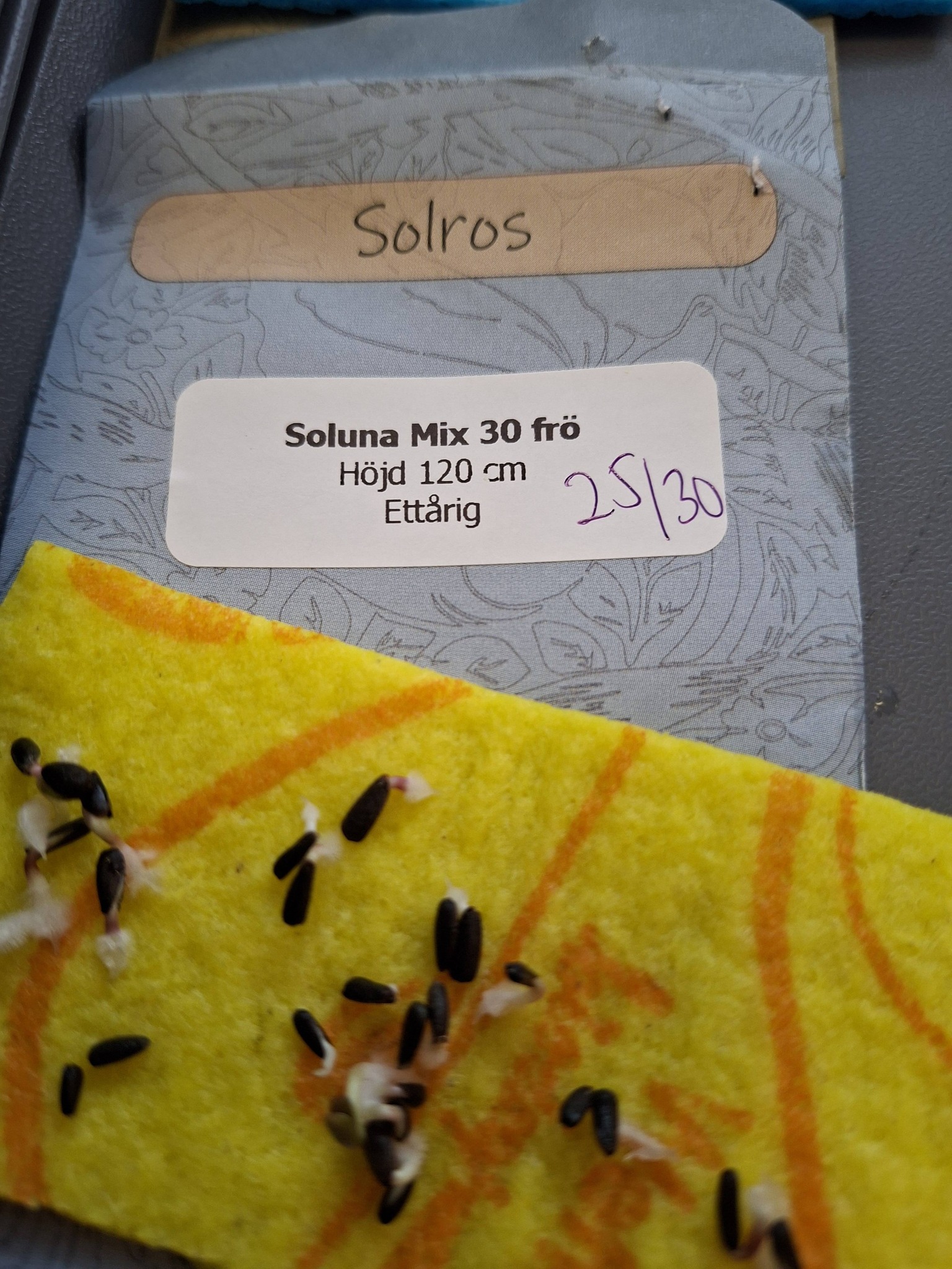 Solros "Soluna Mix" 30 frön - 2