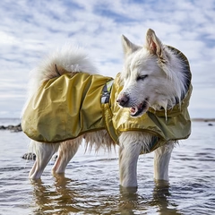 Hurtta Mudventure Reflective Coat