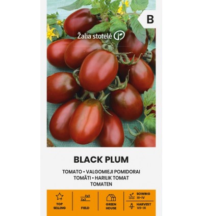 Tomat ‘Black Plum’ – Sötsyrlig plommontomat med rik skörd