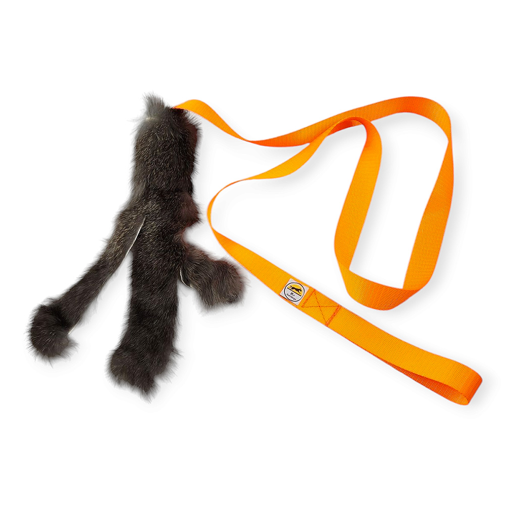 R+Gundogs Rabbiat
