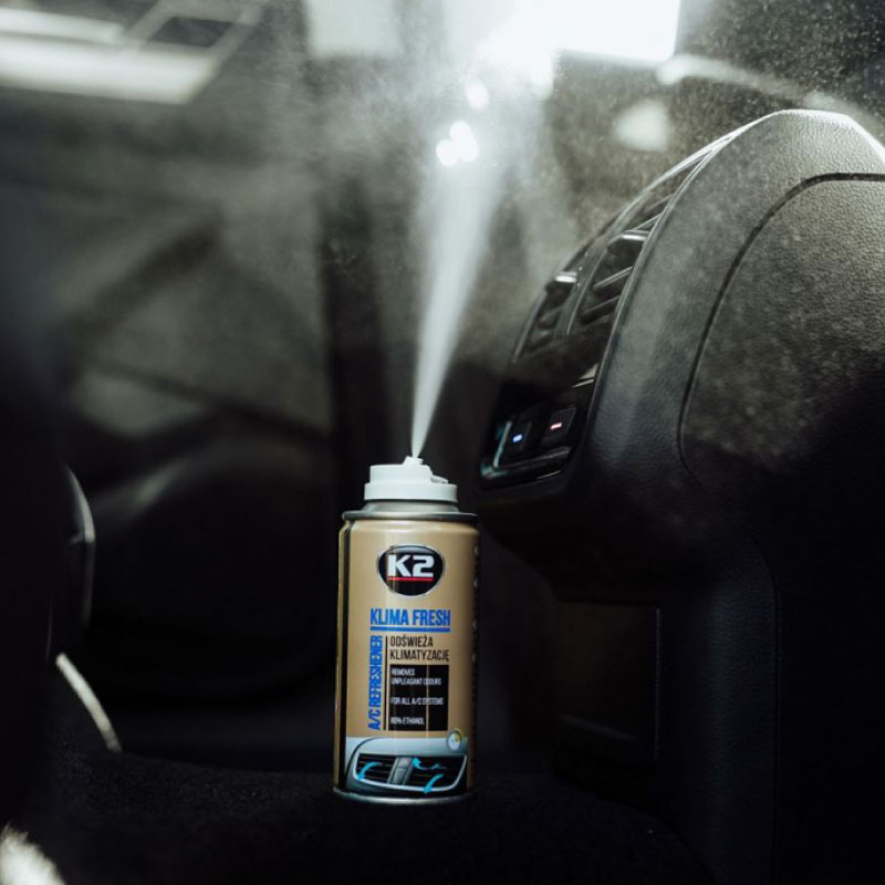 KLIMA FRESH 150 Blueberry - 3