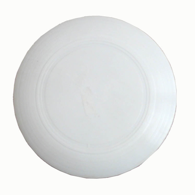 Frisbee plast ø 220 mm.