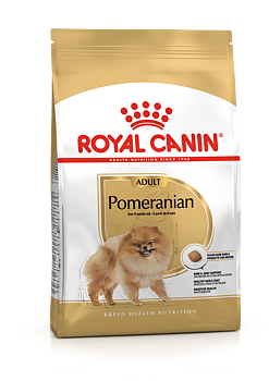 POMERANIAN ADULT 1,5KG