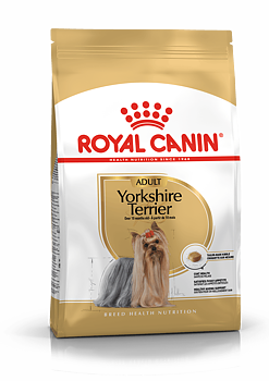 Yorkshire Terrier Adult 1,5 kg