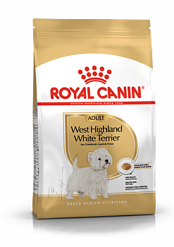West Highland White Terrier Adult 3 kg